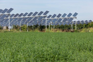 Agrivoltaik ya da agrofotovoltaik, hem güneş fotovoltaik gücü hem de tarım için aynı arazi alanını birlikte geliştirmektedir..