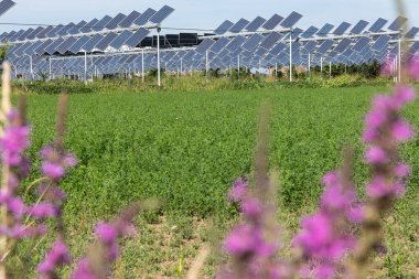 Agrivoltaik ya da agrofotovoltaik, hem güneş fotovoltaik gücü hem de tarım için aynı arazi alanını birlikte geliştirmektedir..