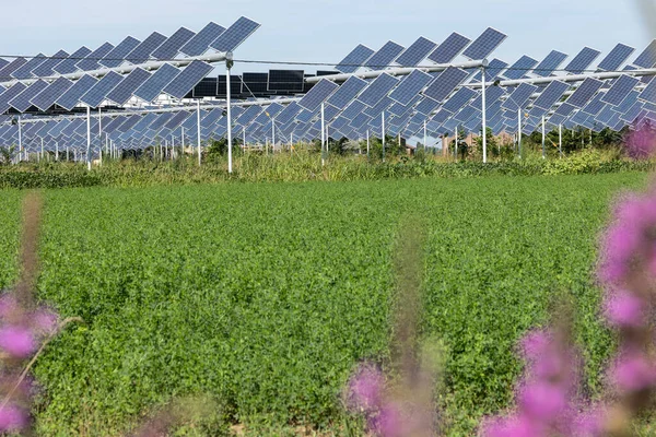 Agrivoltaik ya da agrofotovoltaik, hem güneş fotovoltaik gücü hem de tarım için aynı arazi alanını birlikte geliştirmektedir..