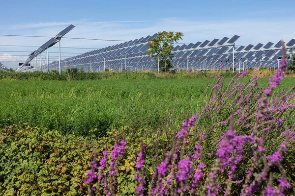 Agrivoltaik ya da agrofotovoltaik, hem güneş fotovoltaik gücü hem de tarım için aynı arazi alanını birlikte geliştirmektedir..