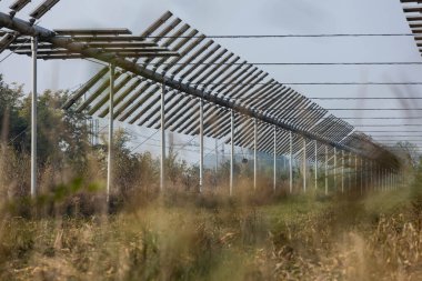 Agrivoltaics (also called agrophotovoltaics, agrisolar, or dual-use solar) is the dual use of land for solar energy and agriculture.