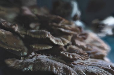 Grifola frondosa, Japonca 'da 