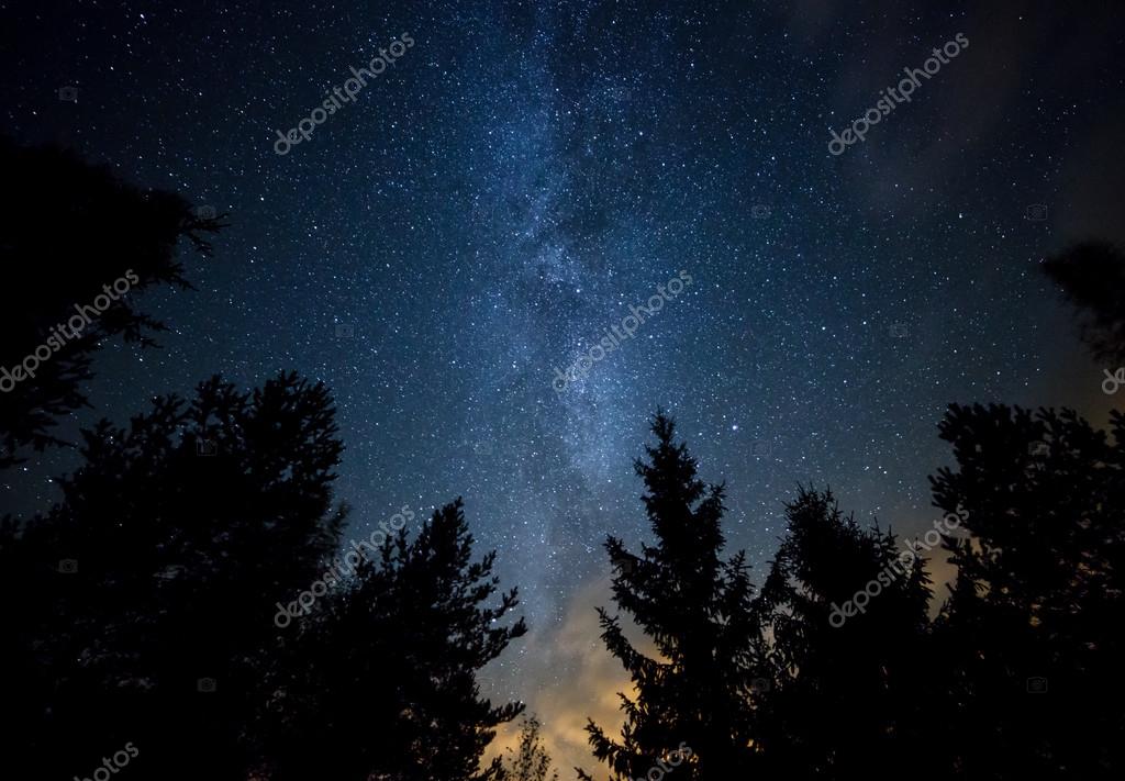 ttretjakov