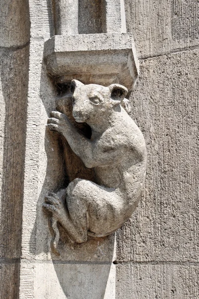 Dier op het nieuwe stadhuis in München — Stockfoto