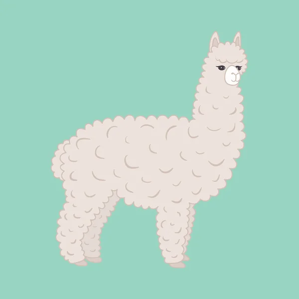 Schattige harige alpaca — Stockvector