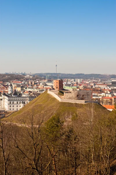 Kule Gediminas Vilnius tepede — Stok fotoğraf