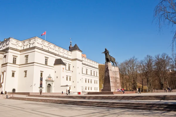 Kathedraal plein in vilnius — Stockfoto