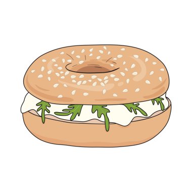 Krem peynir ve rucola ile taze simit sandviç. Üstüne susam. Vektör çizim.