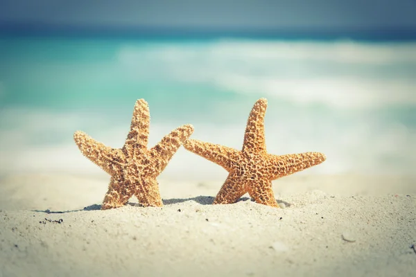 Cross-processed starfish on the beach with ocean waves in backgr — Stock Photo, Image