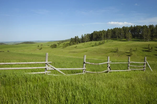 Clôture ferroviaire et collines avec pins dans le Montana — Photo