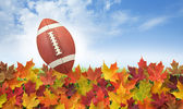 Fotbal s podzim listí na trávě, modrá obloha a mraky