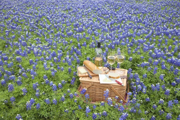 Cesta de piquenique com vinho, queijo e pão em um Texas Hill Countr — Fotografia de Stock