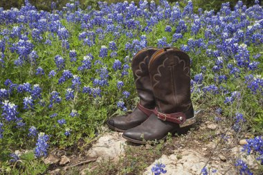 Kovboy çizmeleri Texas bluebonnets dolu bir alanda spurs ile