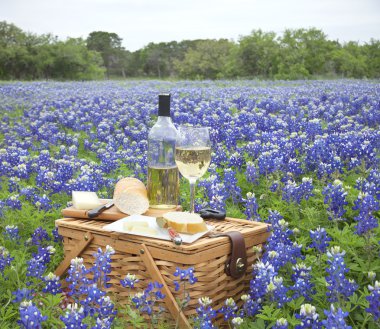 Piknik sepeti şarap, peynir ve ekmek bir Texas Hill Countr