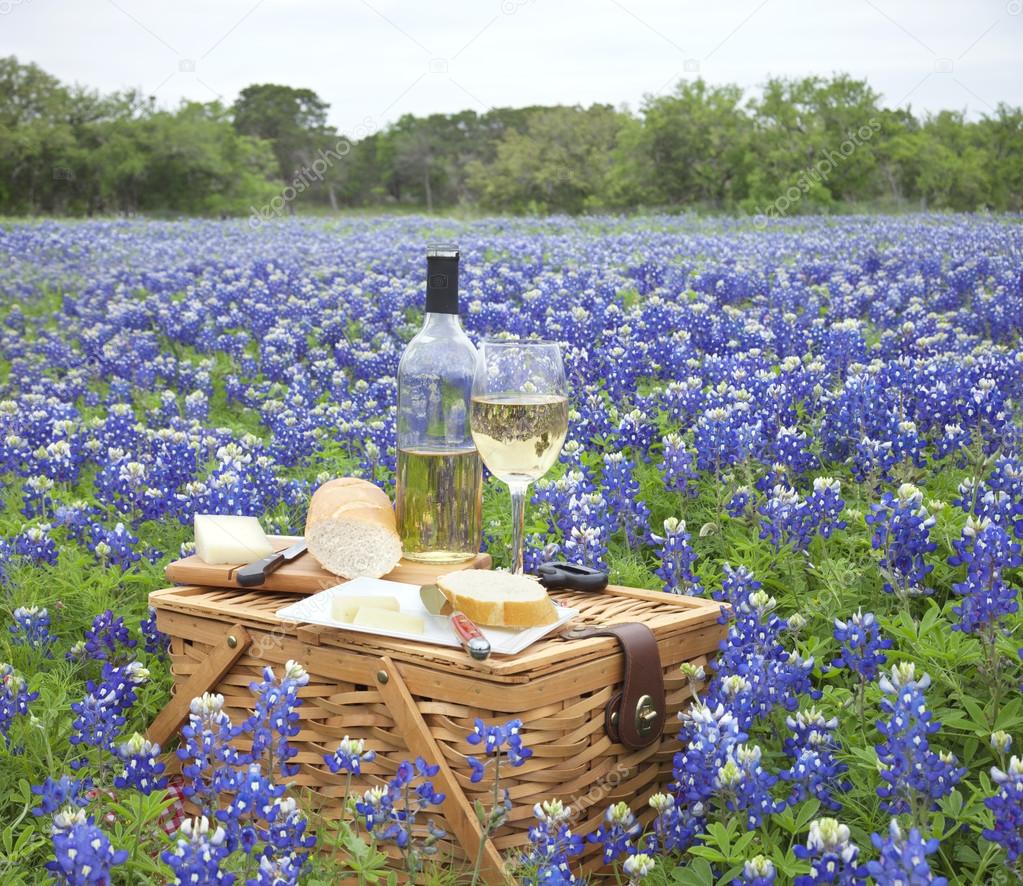 Picnic basket with wine, cheese and bread in a Texas Hill Countr