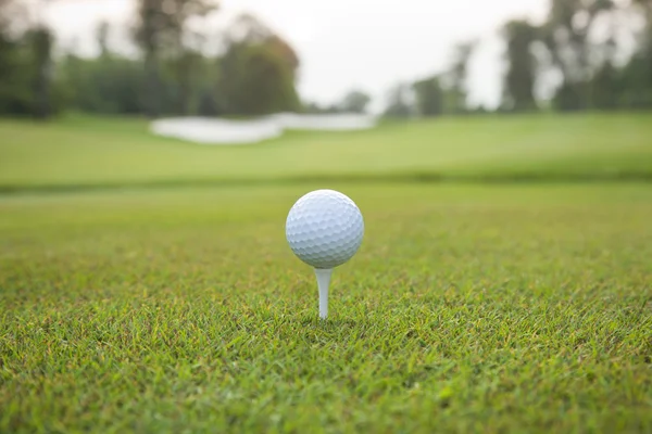 Golf ball on tee with defocused background — Stock fotografie