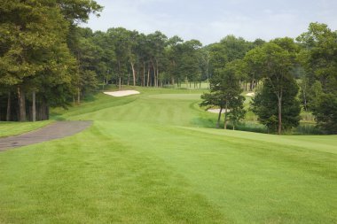 Golf fairway yeşil ve kum bindirmeleri için önde gelen ağaçları ile kaplı