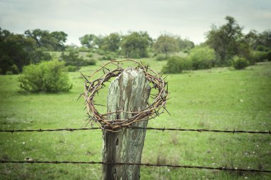 Bir Texas Hill Country çit yazı üzerine dikenli taç