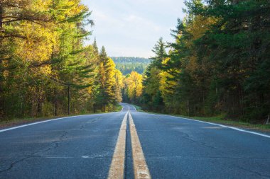 Low angle view of the Gunflint Trail in northern Minnesota on a bright autumn evening