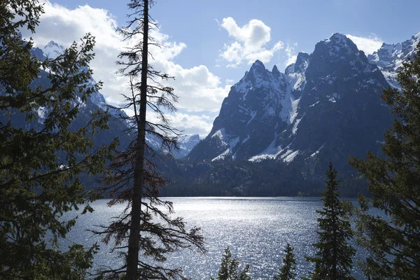 Jenny Lake no Grand Teton National Park — Fotografia de Stock