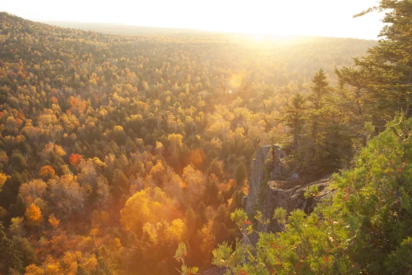 Acantilado retroiluminado y pinos con lente por encima de los árboles en otoño colo —  Fotos de Stock