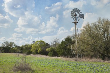 Yel değirmeni ve bluebonnets Texas Hill ülkede
