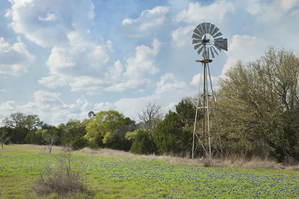 Wiatrak i bluebonnets w kraju Texas Hill — Zdjęcie stockowe