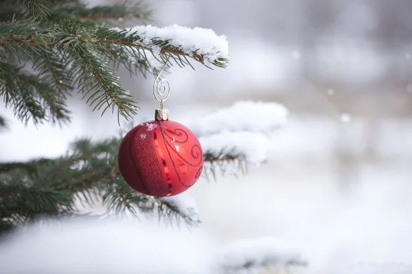 Red Christmas bauble with snowflakes on snowy pine branch — Stock Photo, Image