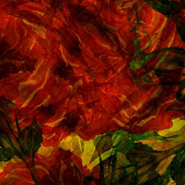 Kırmızı bir gülün yakın çekim parçası, el çizimi tasarımı..