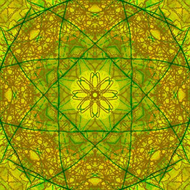 Güneşli çiçekli arka plan.