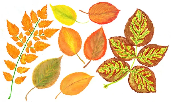 Watercolor foliage, autumn leaves — Stock Photo, Image