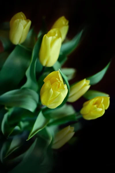 Tulipanes amarillos en un jarrón — Foto de Stock