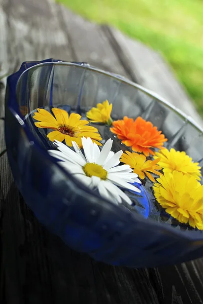 Fleurs flottant dans un bol bleu — Photo