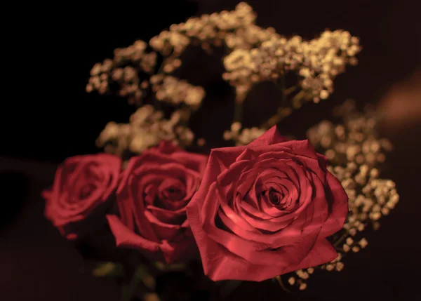 Rosas e flores brancas — Fotografia de Stock