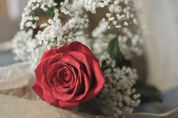 Kırmızı gül ve beyaz çiçekler