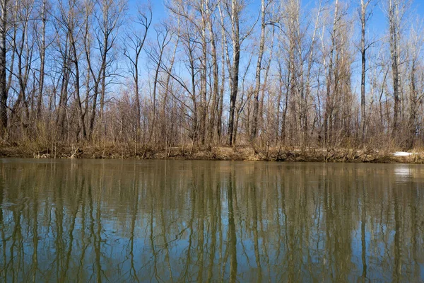 Início Primavera Inundação Rio Lamacento Com Paisagem Circundante Refletida Água — Fotografia de Stock