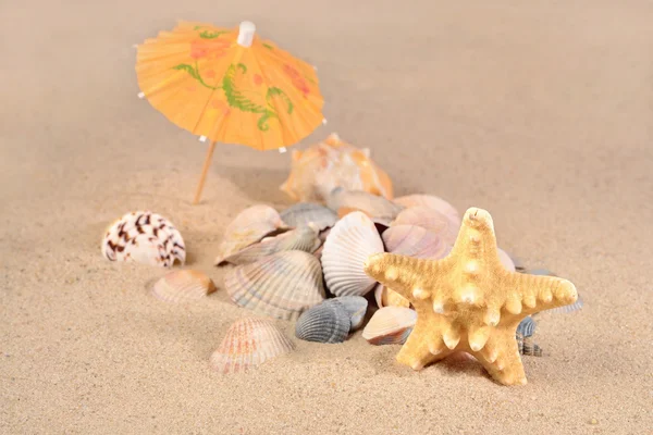 Starfish and seashells close-up in a beach sand — Stock Photo, Image