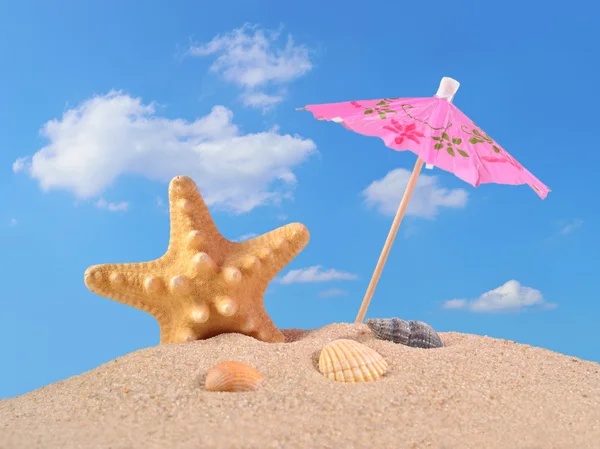 Starfish e conchas em uma areia de praia — Fotografia de Stock