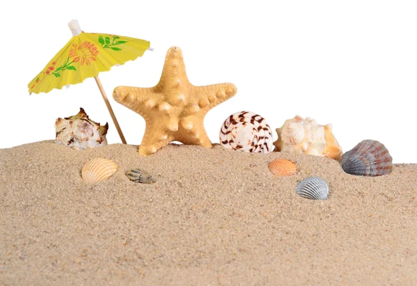 Starfish and seashells in beach sand on a white — Stock Photo, Image