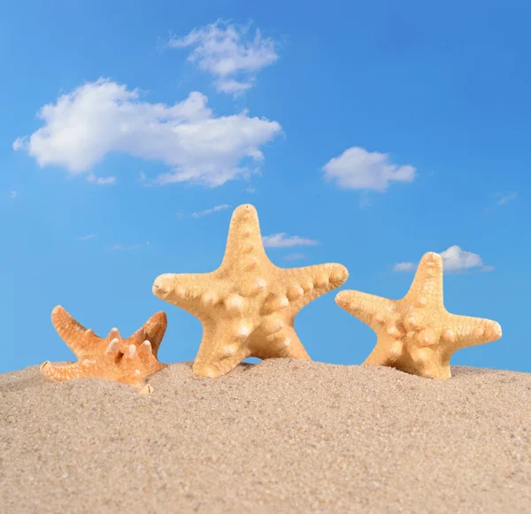 Starfishs on a beach sand — Stock Photo, Image