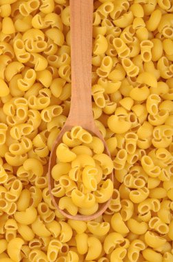 Pişmemiş makarna çeşitleri boru rigate bir kaşık içinde