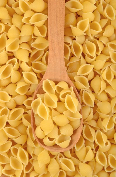 Uncooked italian pasta shells in a spoon — Stock Photo, Image