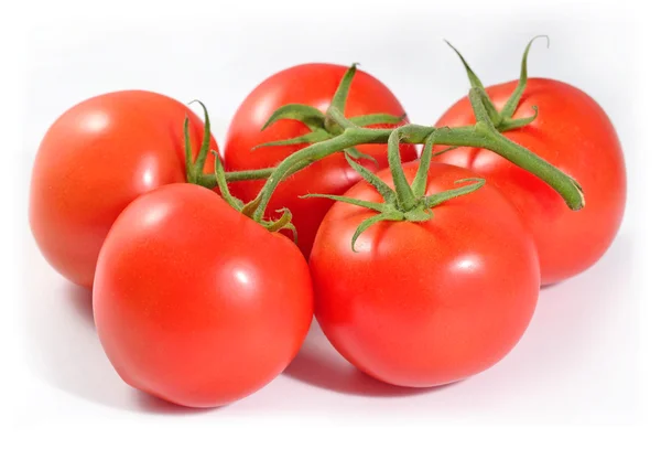 Reife Tomaten Zweig auf einem weißen — Stockfoto