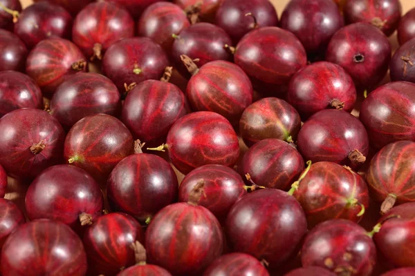 Uva spina rossa fresca da vicino come sfondo — Foto Stock