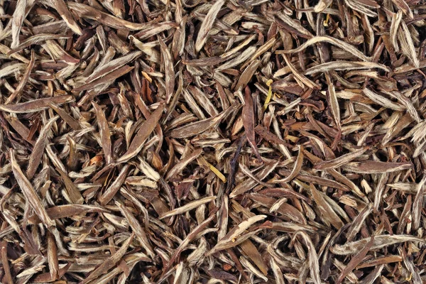 Зеленый чай листья фона — стоковое фото