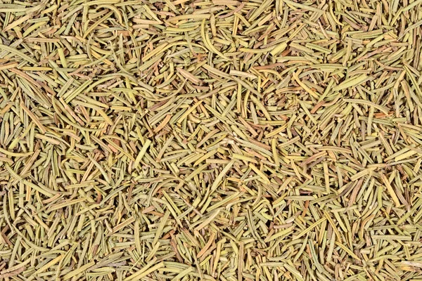 Dried rosemary background — Stock Photo, Image