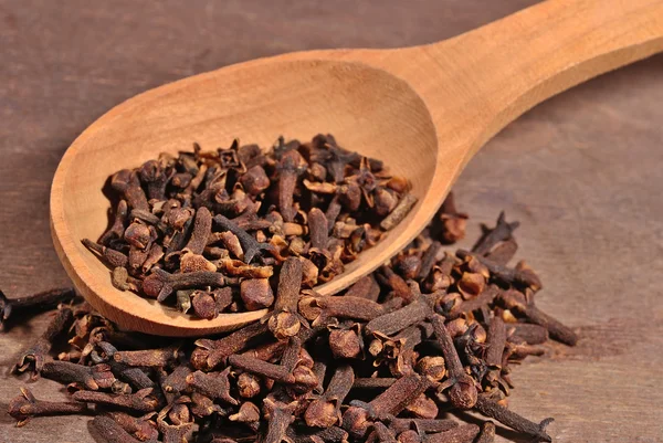 Dried clove in a spoon — Stock Photo, Image