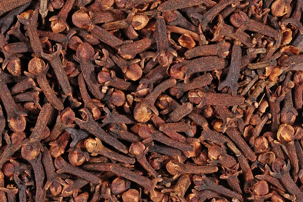 Dried clove background — Stock Photo, Image