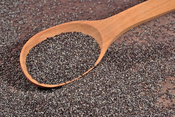 Poppy seeds in a spoon — Stock Photo, Image