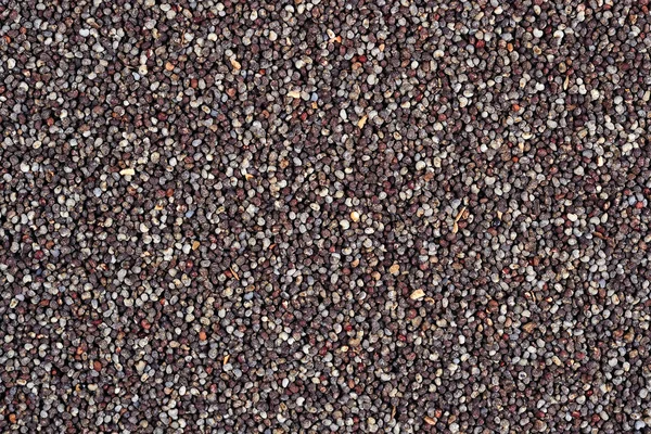Sfondo semi di papavero — Foto Stock